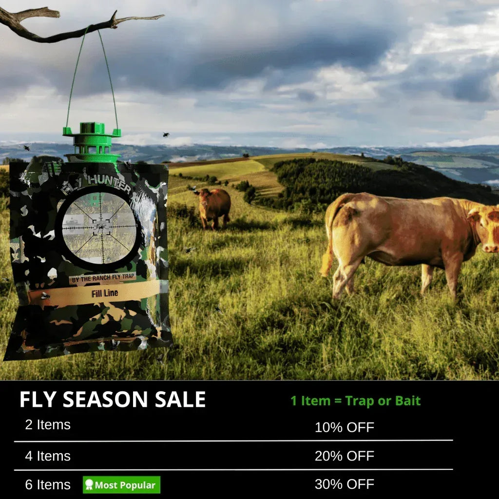 Fly Hunter (July 4th Sale) - The Ranch Pest Control